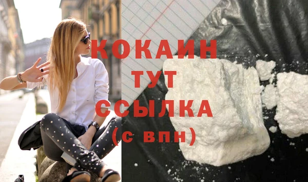дживик Баксан
