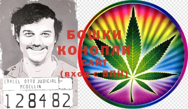 дживик Баксан