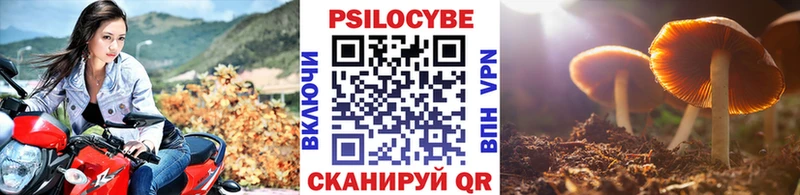 Псилоцибиновые грибы Magic Shrooms  мориарти официальный сайт  Бирюсинск 